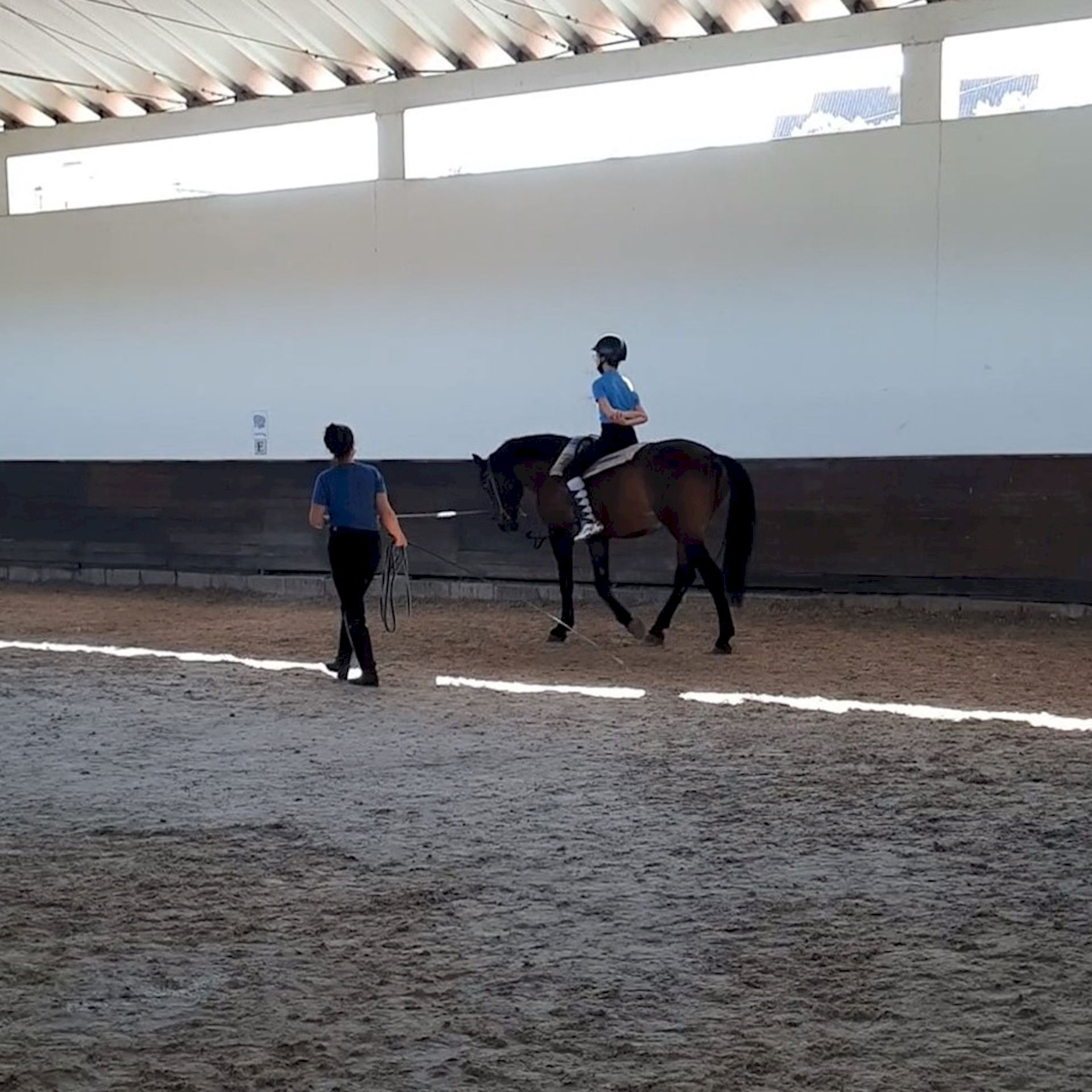 Initiation to Equitation