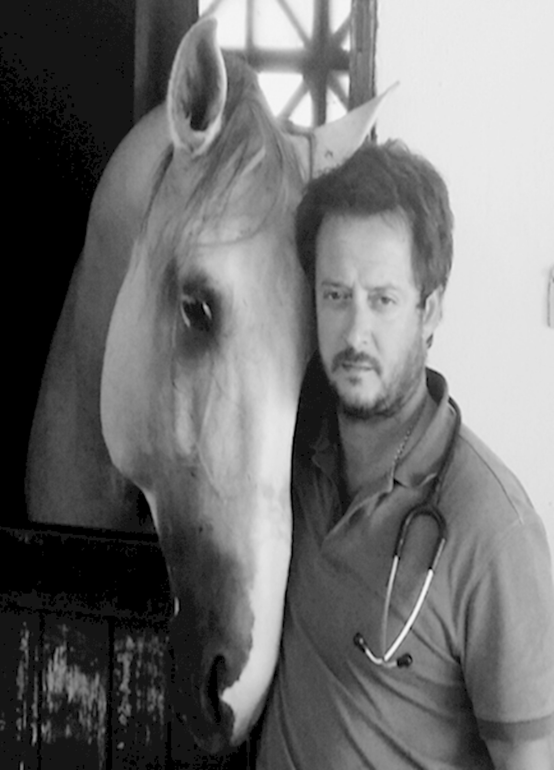 Bruno Miranda