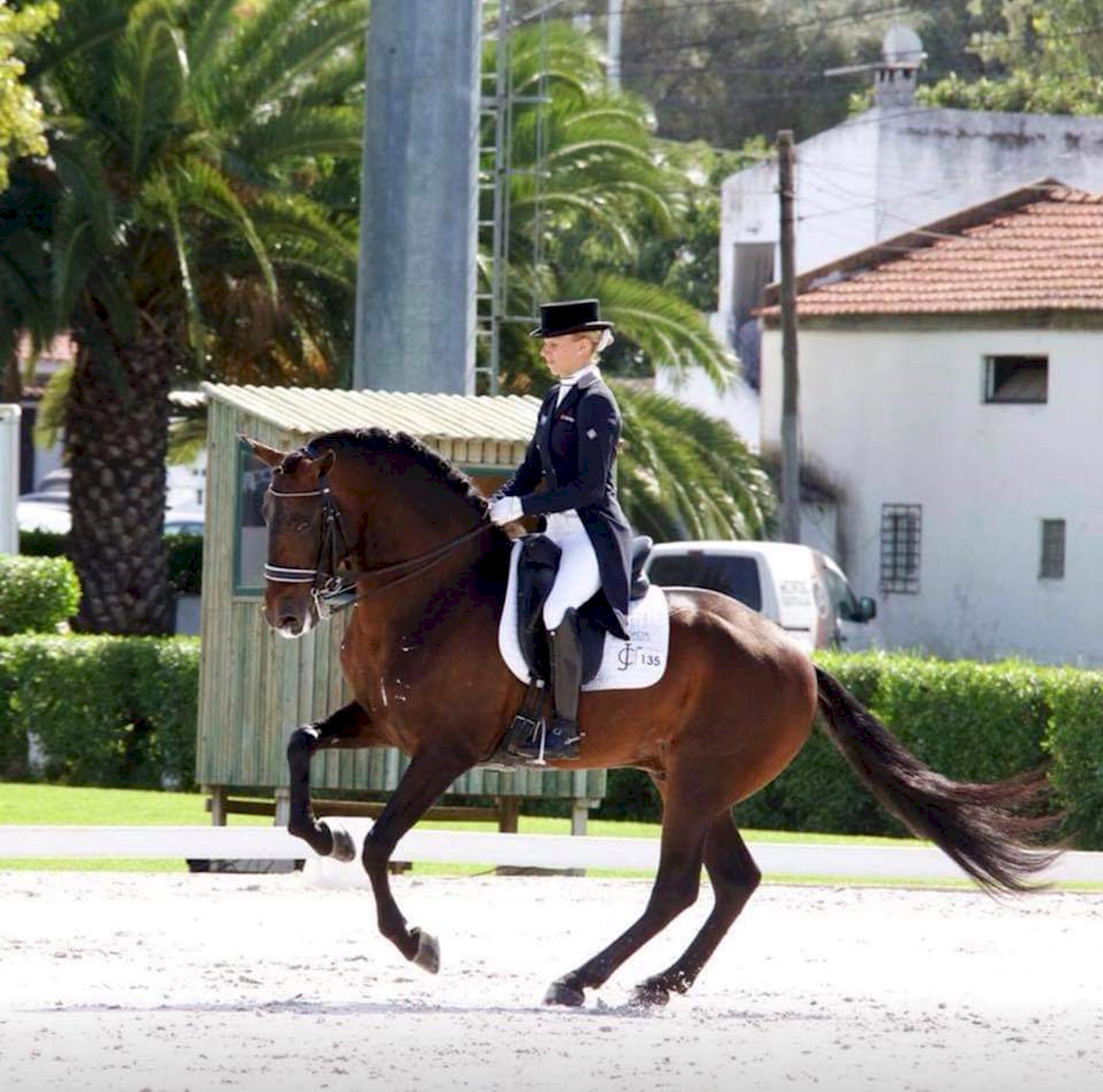 PORTUGUESE TEAM and LUSITANOS ON THE WAY TO THE OLYMPIC GAMES!