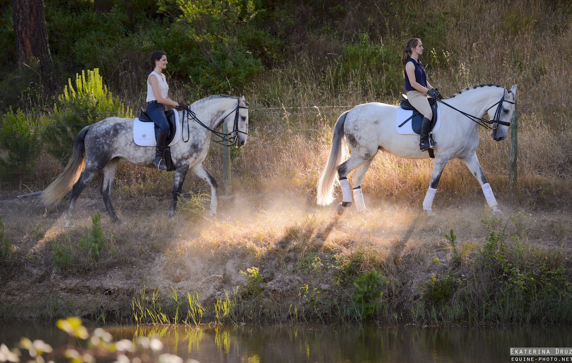 Equestrian Tourism